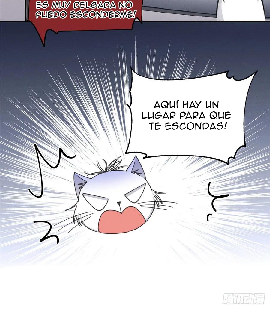 20 Tengo que trabajar duro para ser un gato hoy!