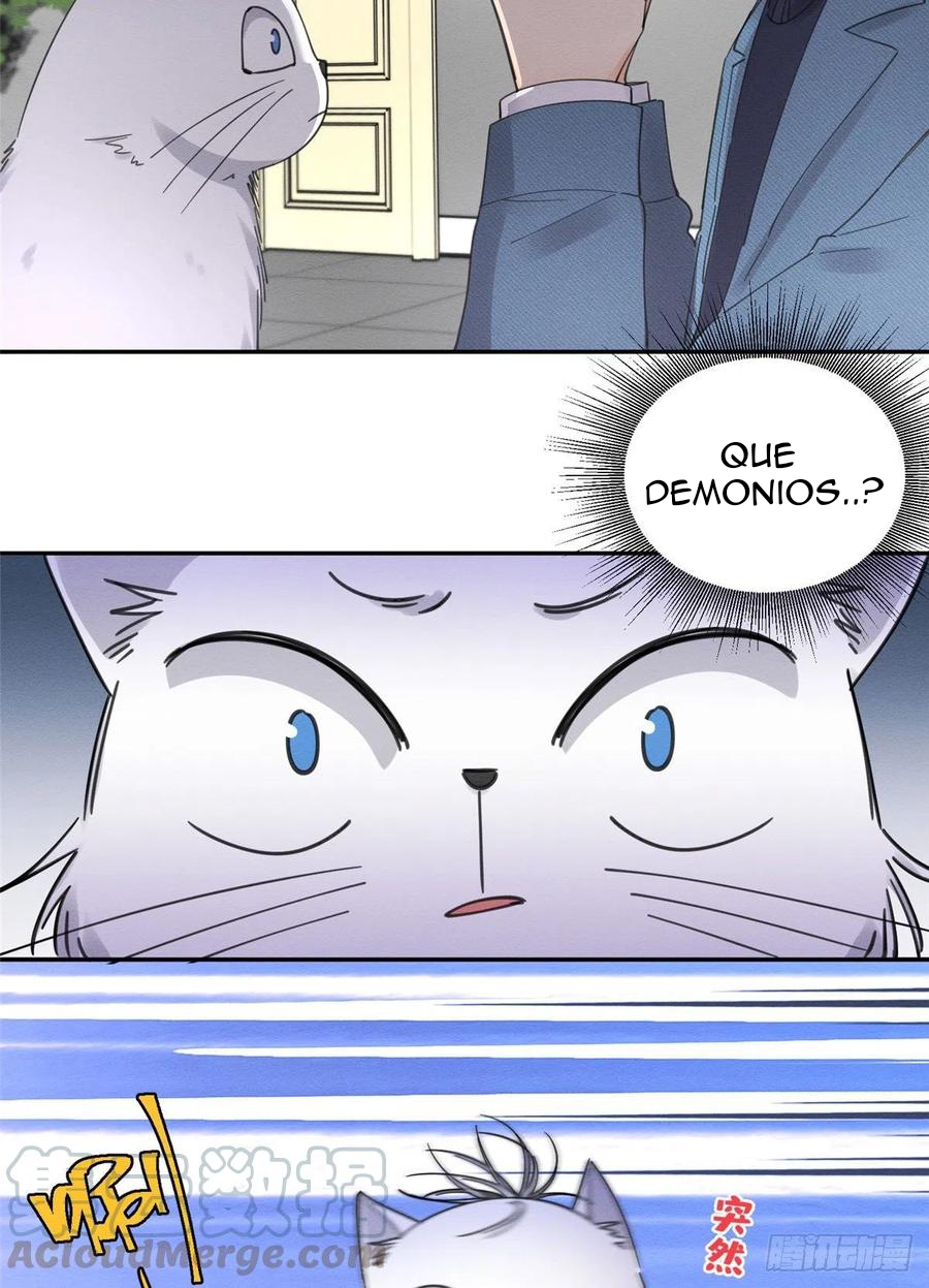 24 Tengo que trabajar duro para ser un gato hoy!