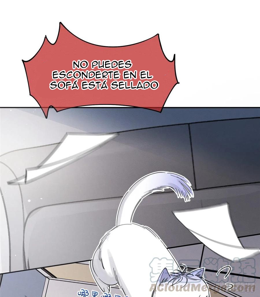 18 Tengo que trabajar duro para ser un gato hoy!