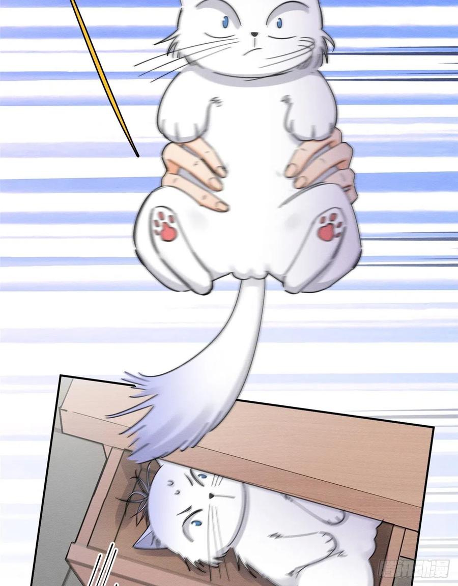 25 Tengo que trabajar duro para ser un gato hoy!