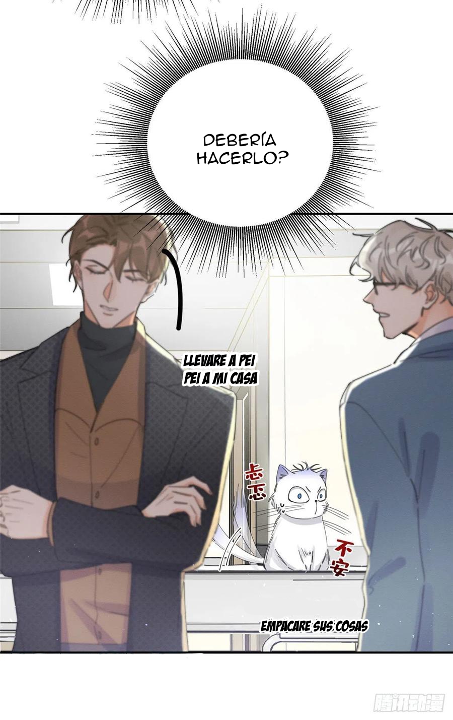 6 Tengo que trabajar duro para ser un gato hoy!