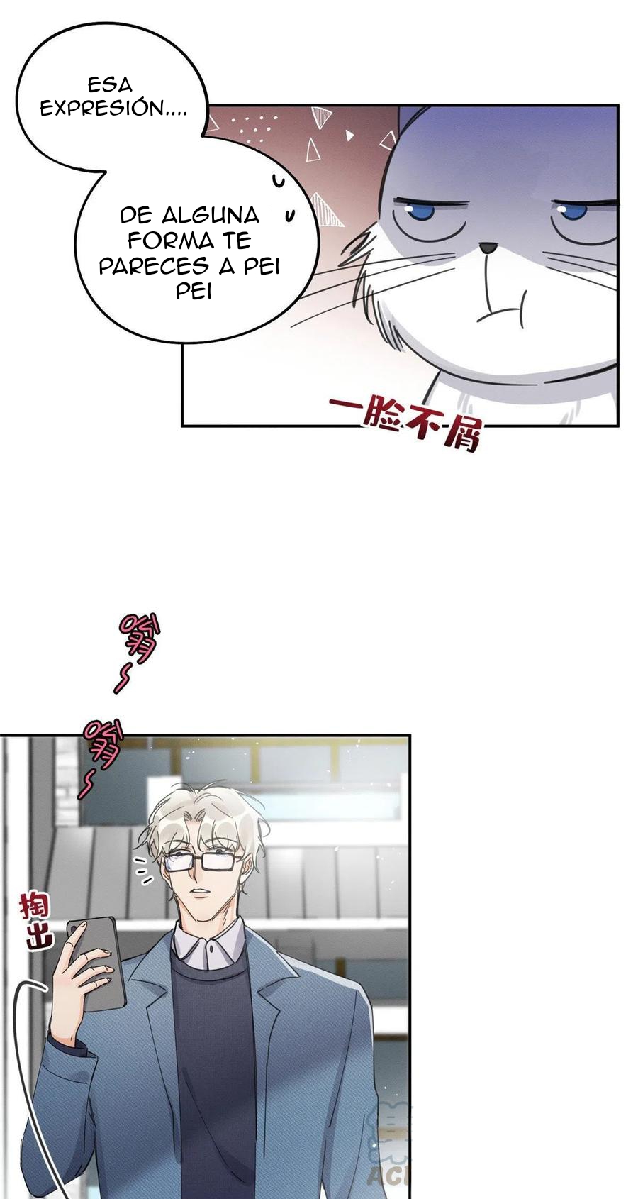 20 Tengo que trabajar duro para ser un gato hoy!