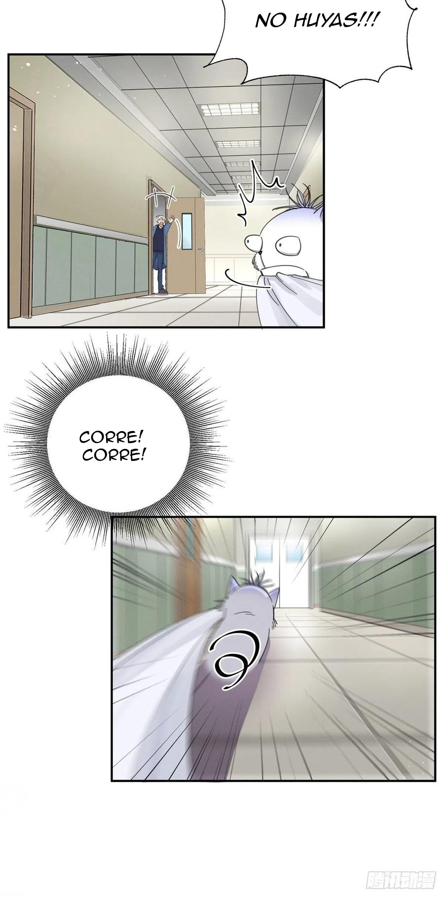 12 Tengo que trabajar duro para ser un gato hoy!