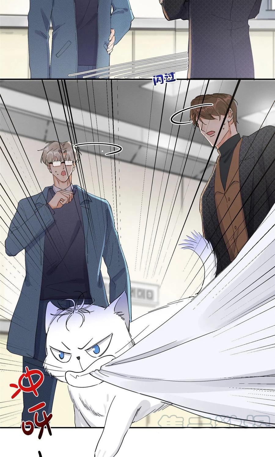 8 Tengo que trabajar duro para ser un gato hoy!