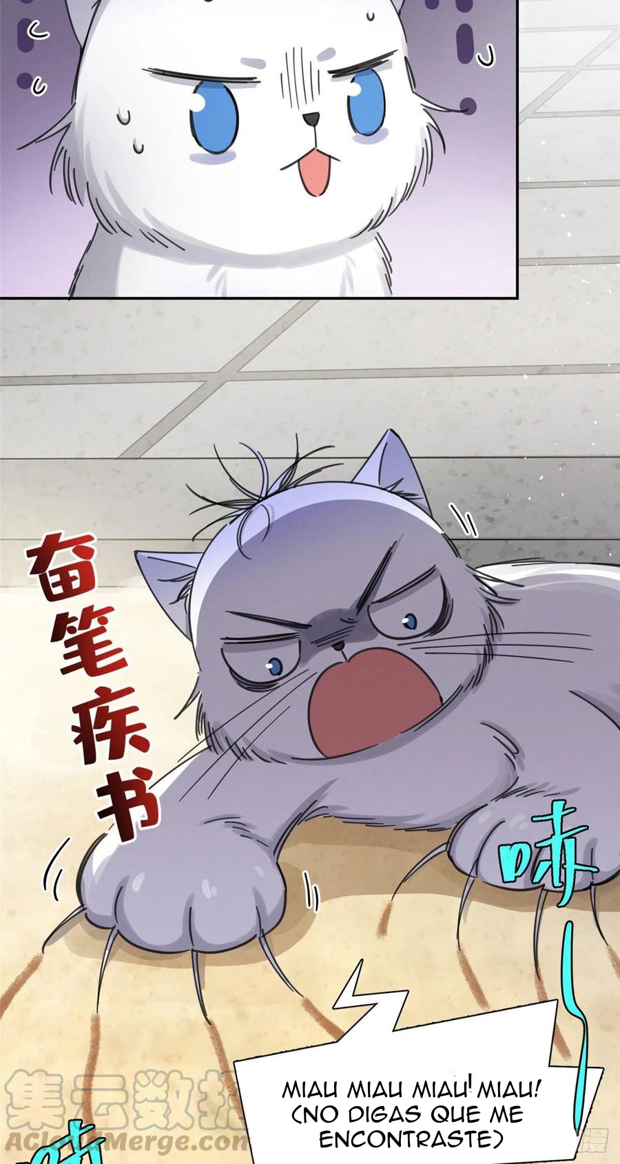 22 Tengo que trabajar duro para ser un gato hoy!