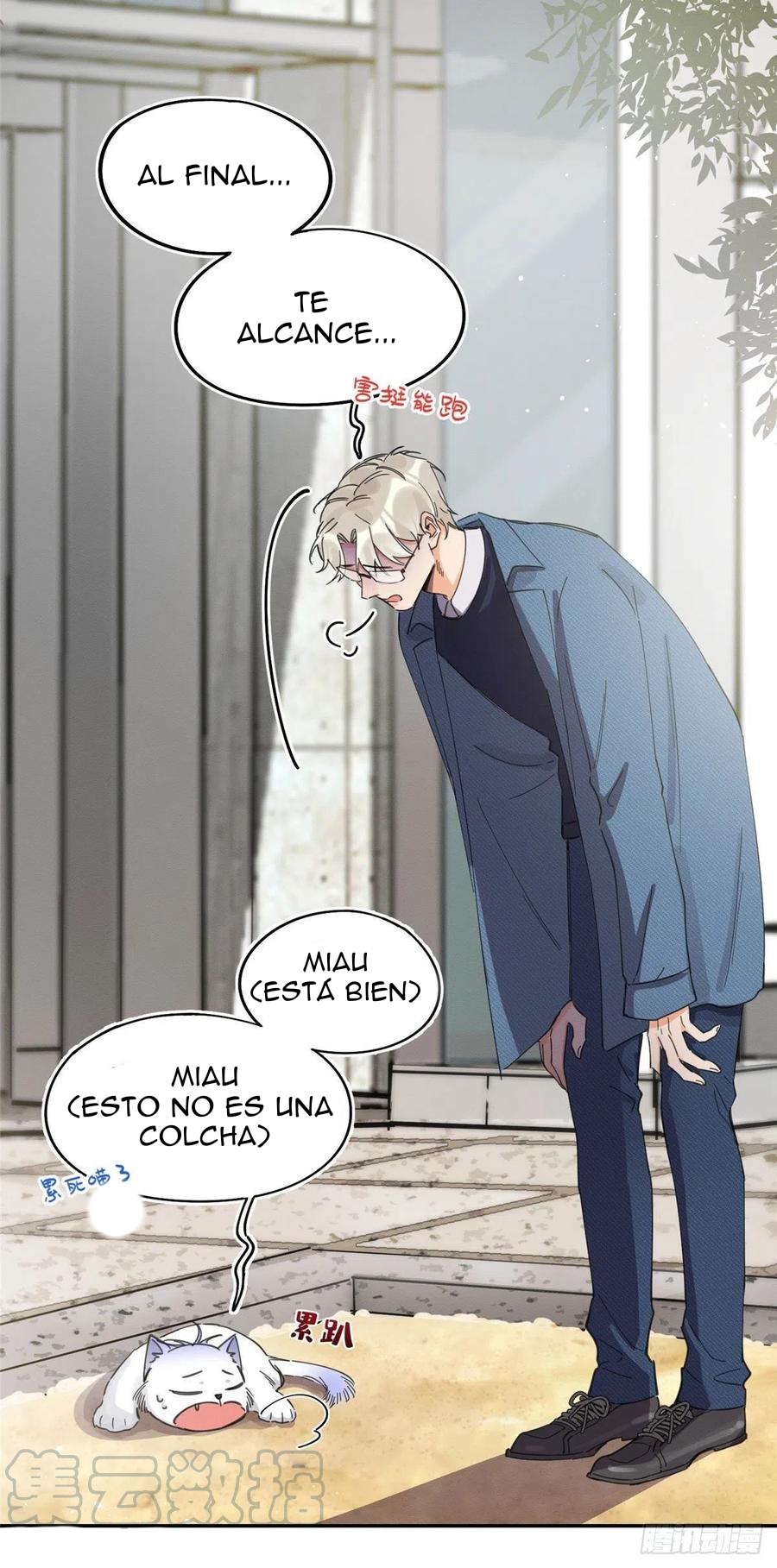 14 Tengo que trabajar duro para ser un gato hoy!