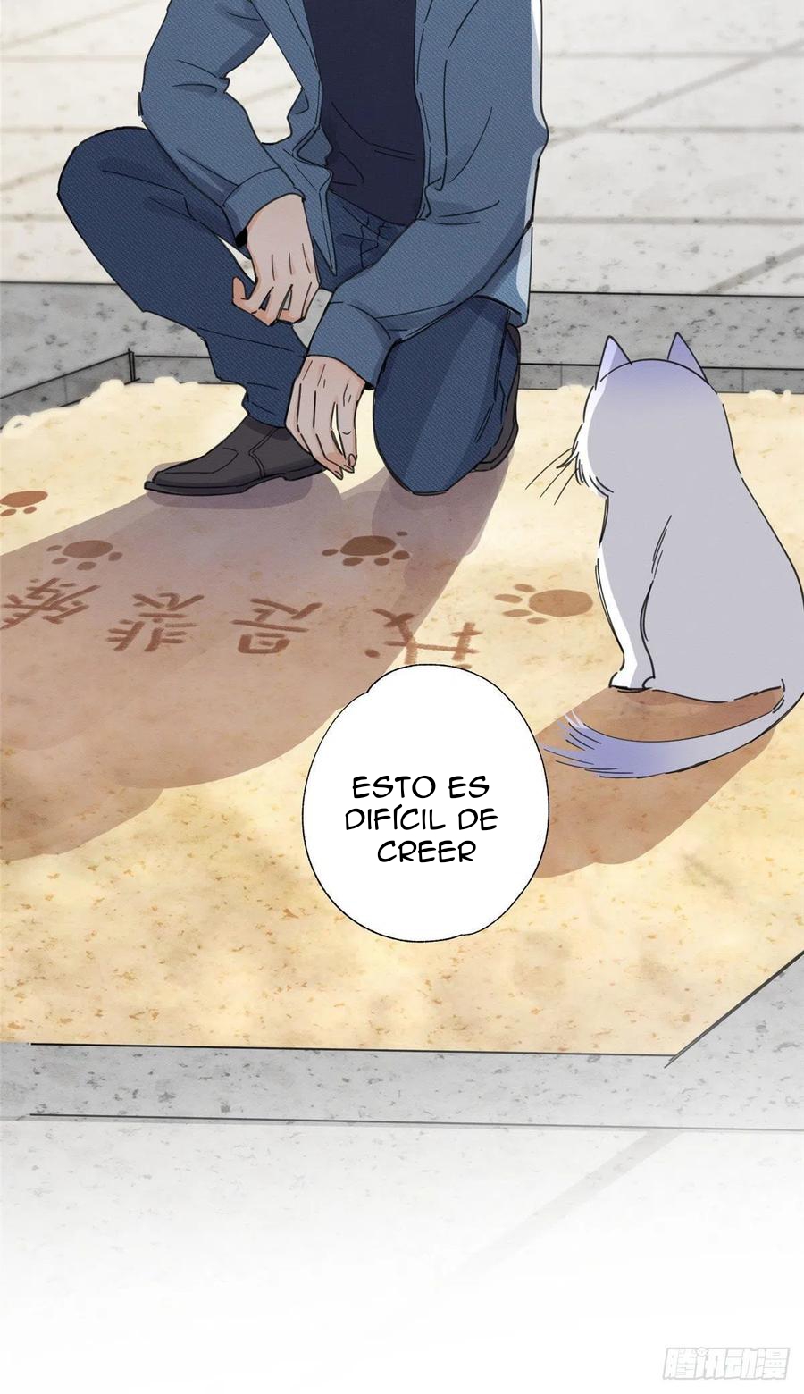 19 Tengo que trabajar duro para ser un gato hoy!