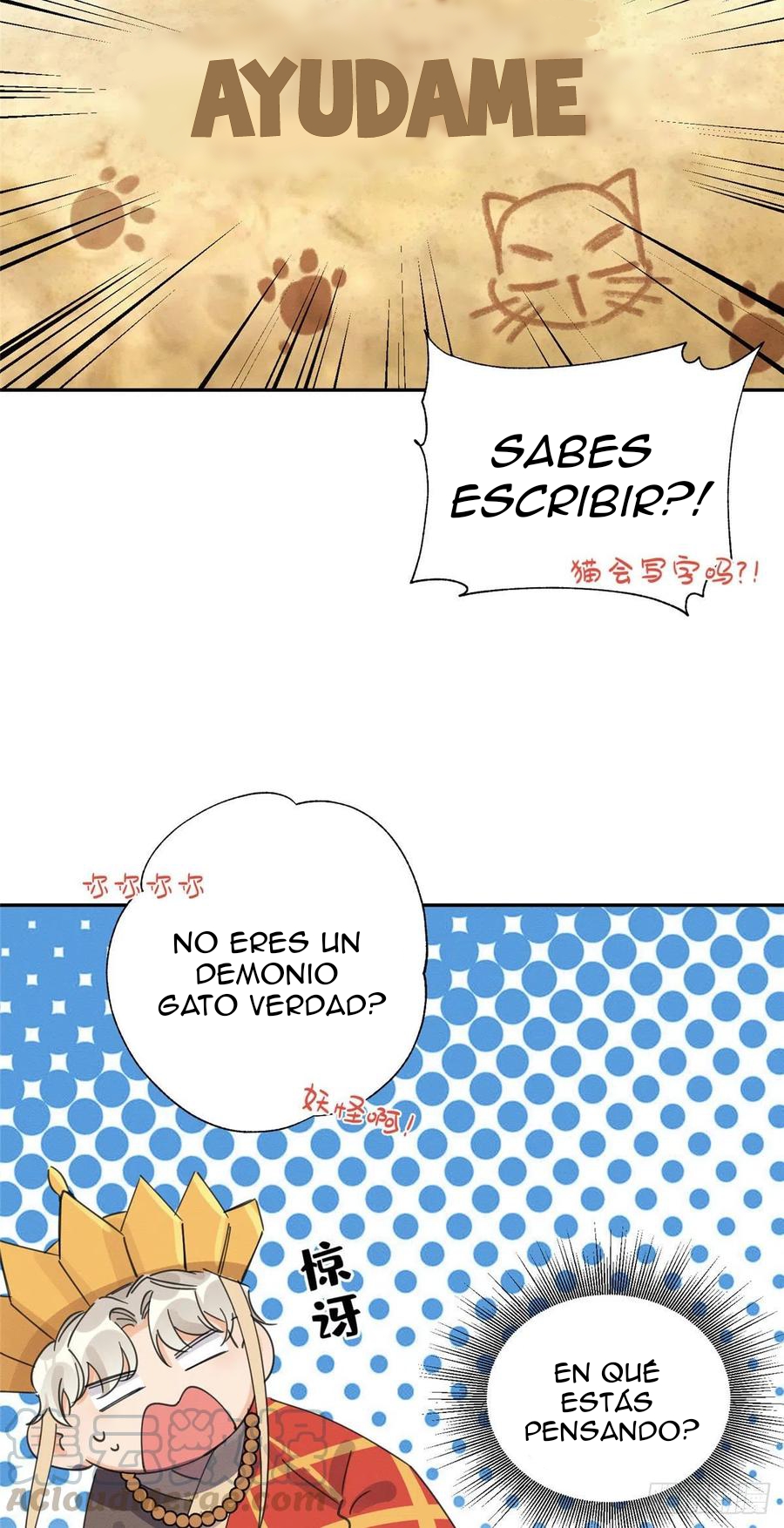 16 Tengo que trabajar duro para ser un gato hoy!