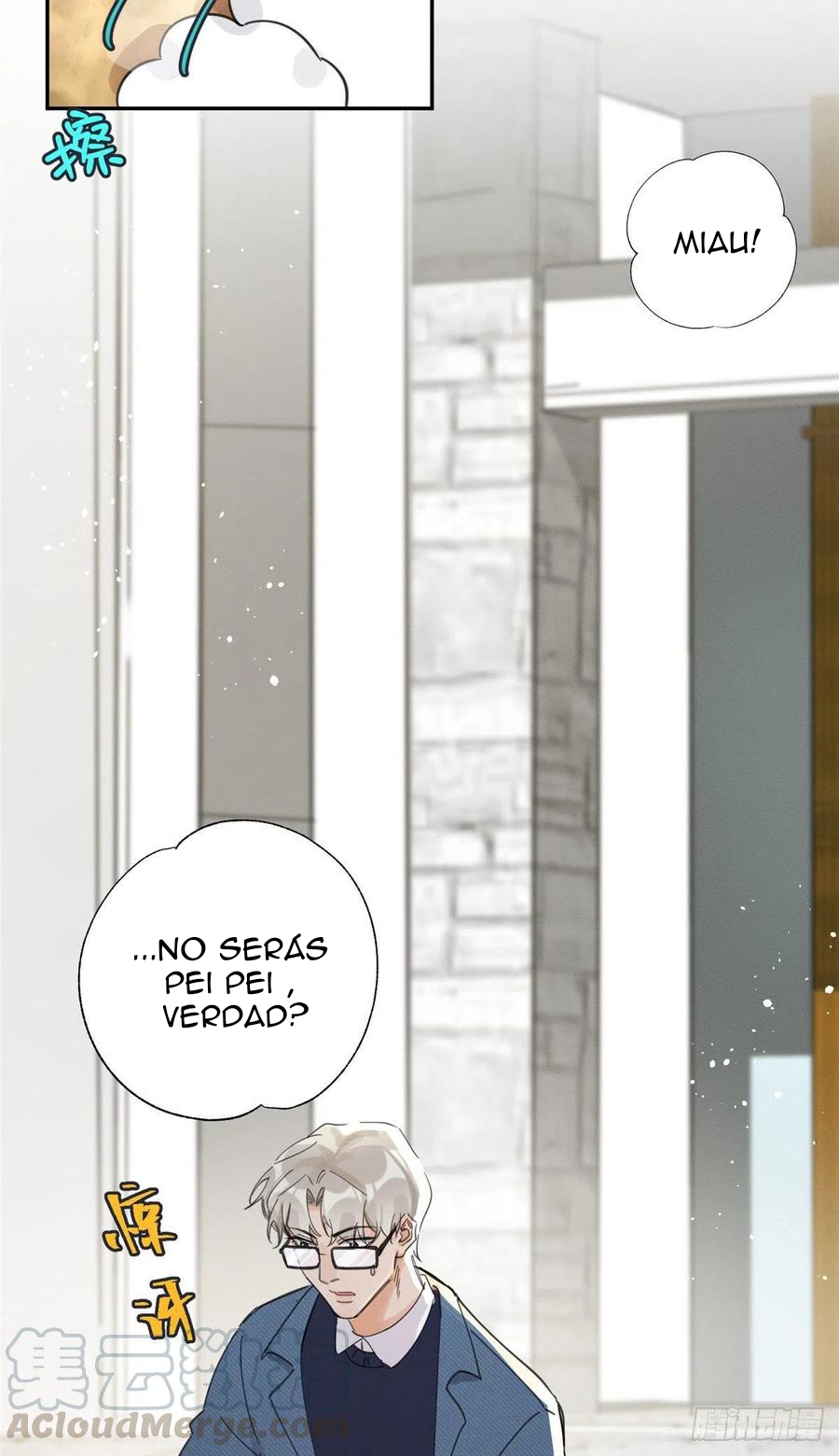 18 Tengo que trabajar duro para ser un gato hoy!