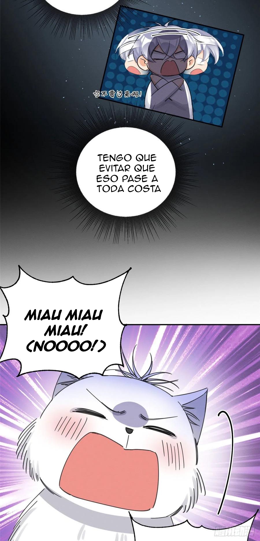 3 Tengo que trabajar duro para ser un gato hoy!