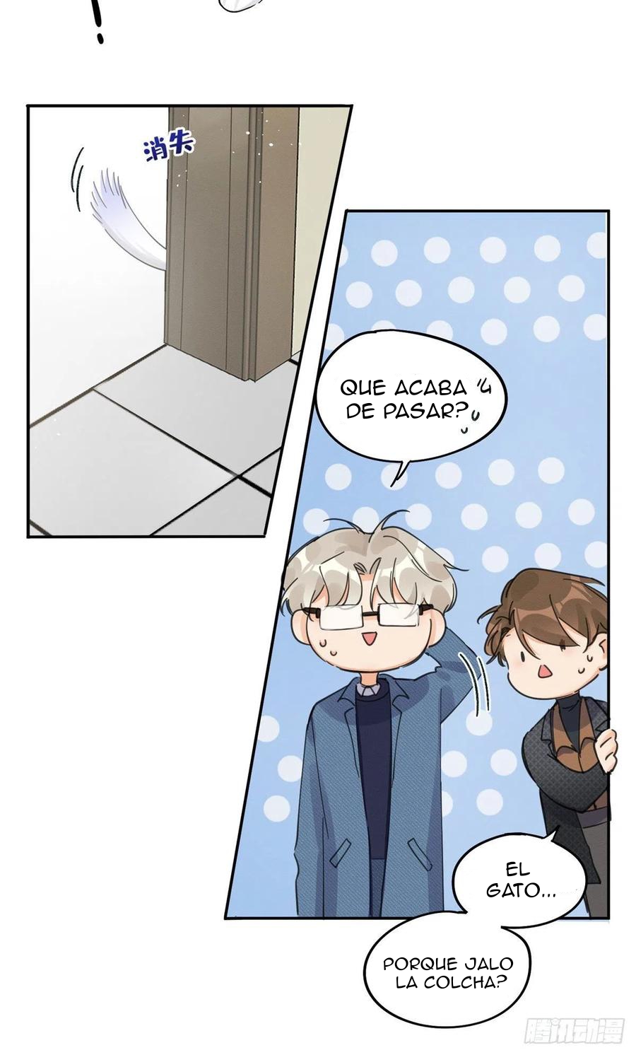 9 Tengo que trabajar duro para ser un gato hoy!