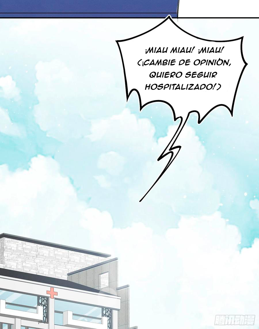 42 Tengo que trabajar duro para ser un gato hoy!