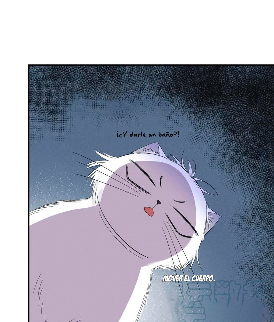 17 Tengo que trabajar duro para ser un gato hoy!