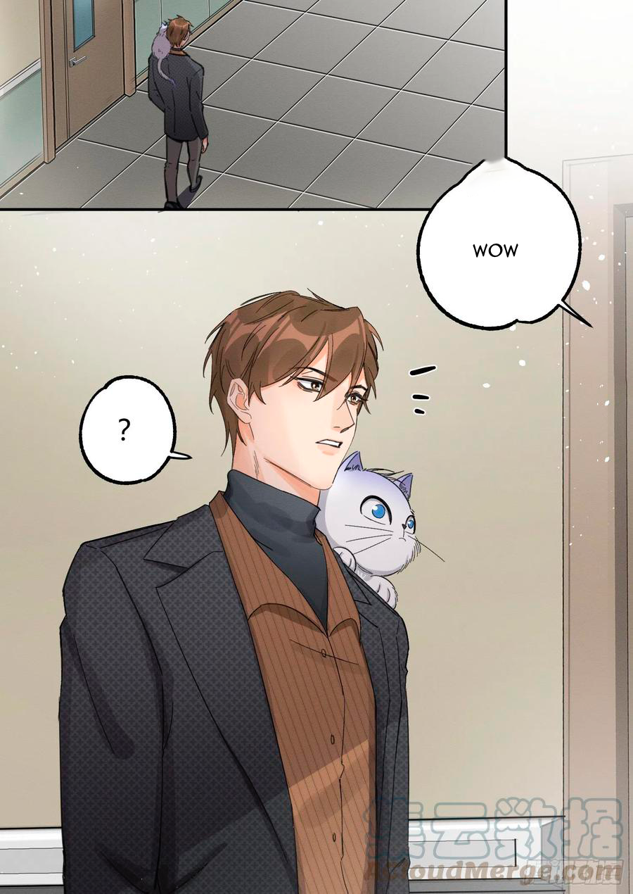 27 Tengo que trabajar duro para ser un gato hoy!