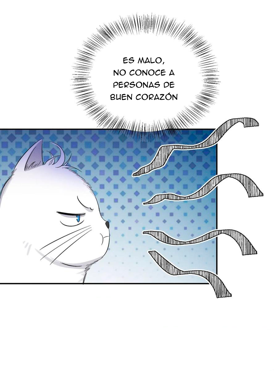 13 Tengo que trabajar duro para ser un gato hoy!