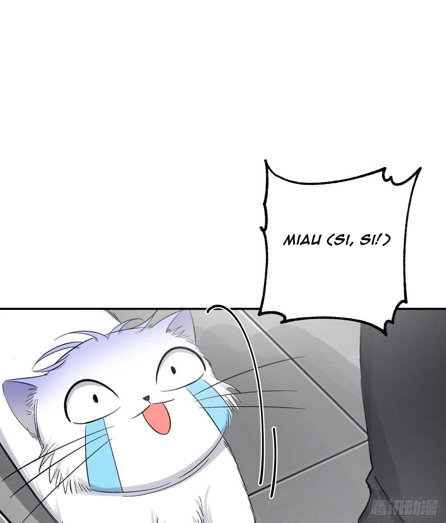 22 Tengo que trabajar duro para ser un gato hoy!