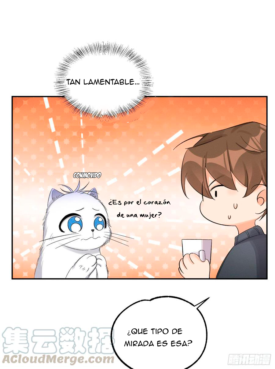 8 Tengo que trabajar duro para ser un gato hoy!