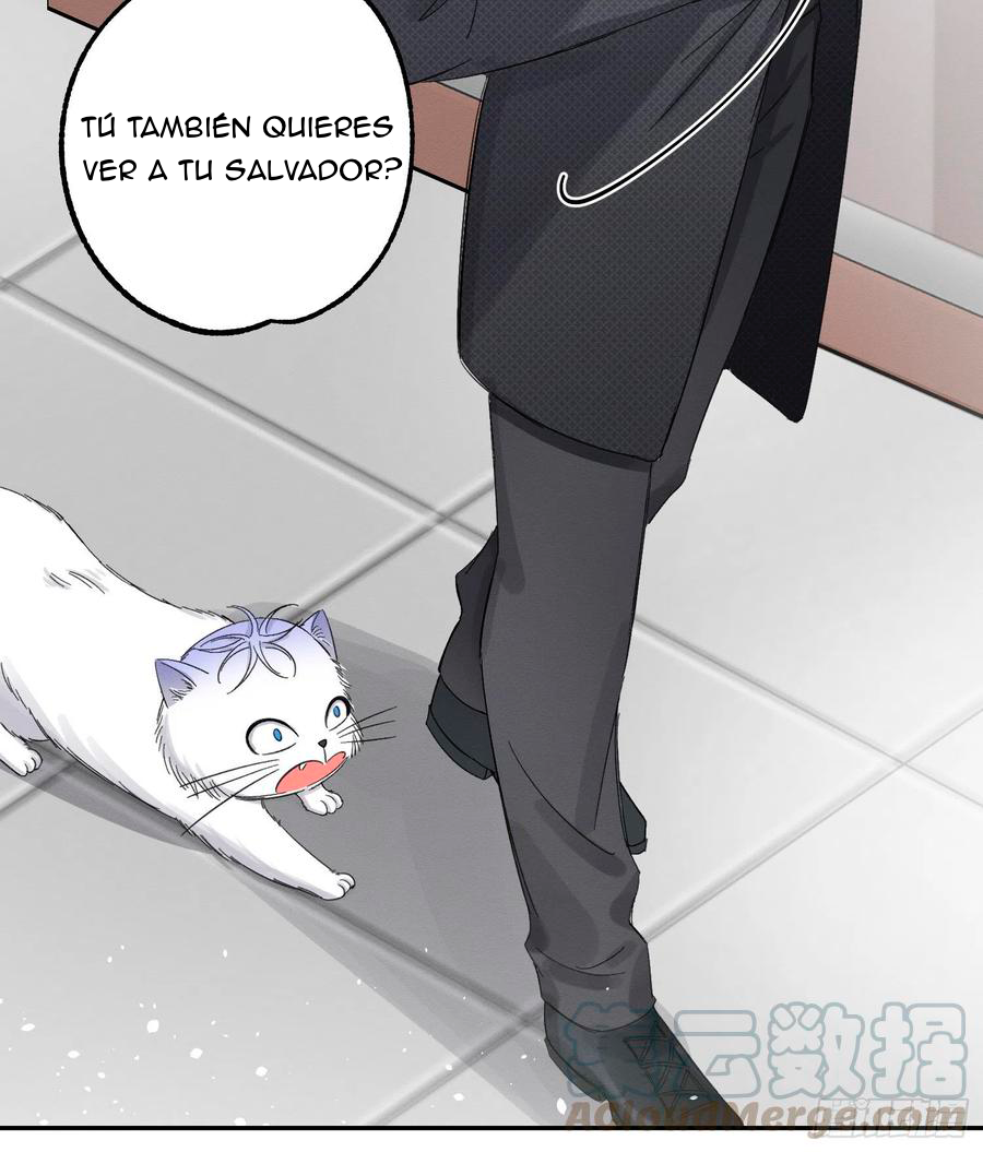 21 Tengo que trabajar duro para ser un gato hoy!