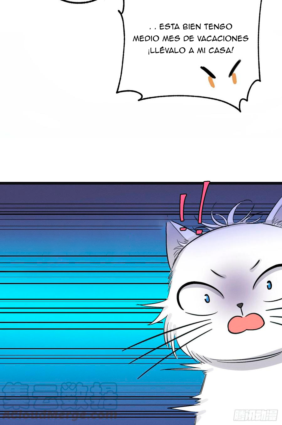 41 Tengo que trabajar duro para ser un gato hoy!