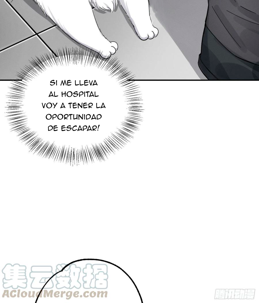 23 Tengo que trabajar duro para ser un gato hoy!