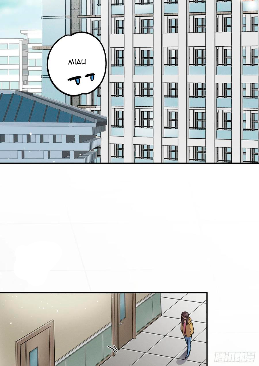 26 Tengo que trabajar duro para ser un gato hoy!