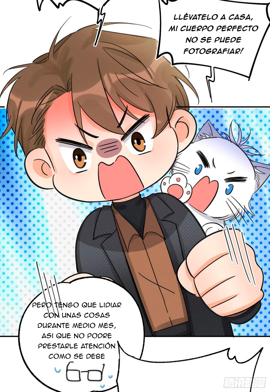 40 Tengo que trabajar duro para ser un gato hoy!