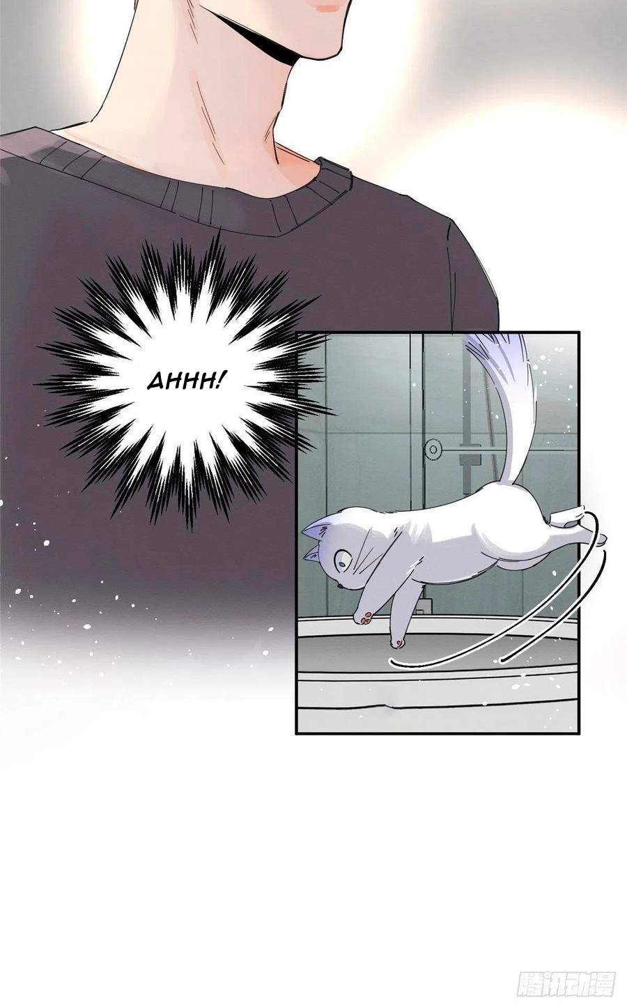 14 Tengo que trabajar duro para ser un gato hoy!