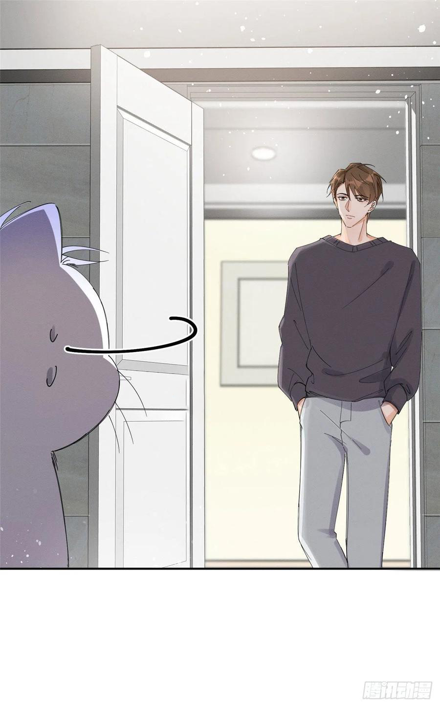 11 Tengo que trabajar duro para ser un gato hoy!