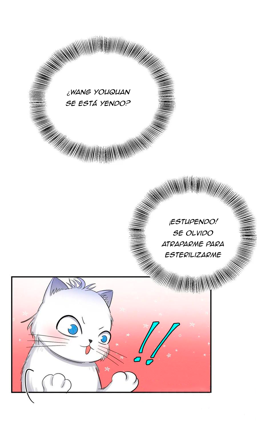 37 Tengo que trabajar duro para ser un gato hoy!