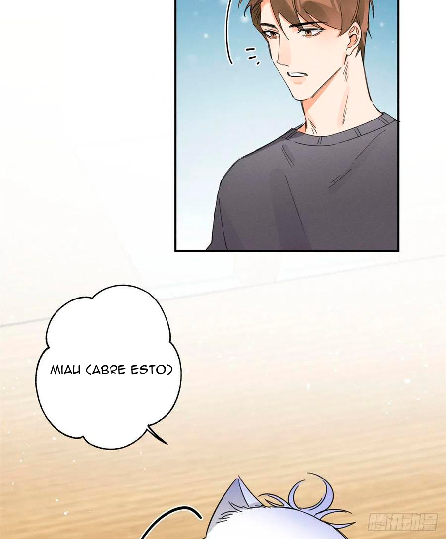 39 Tengo que trabajar duro para ser un gato hoy!