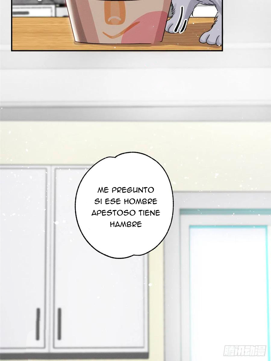 42 Tengo que trabajar duro para ser un gato hoy!