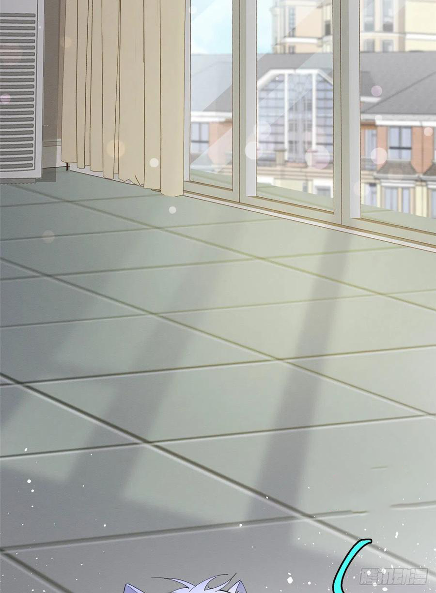 3 Tengo que trabajar duro para ser un gato hoy!