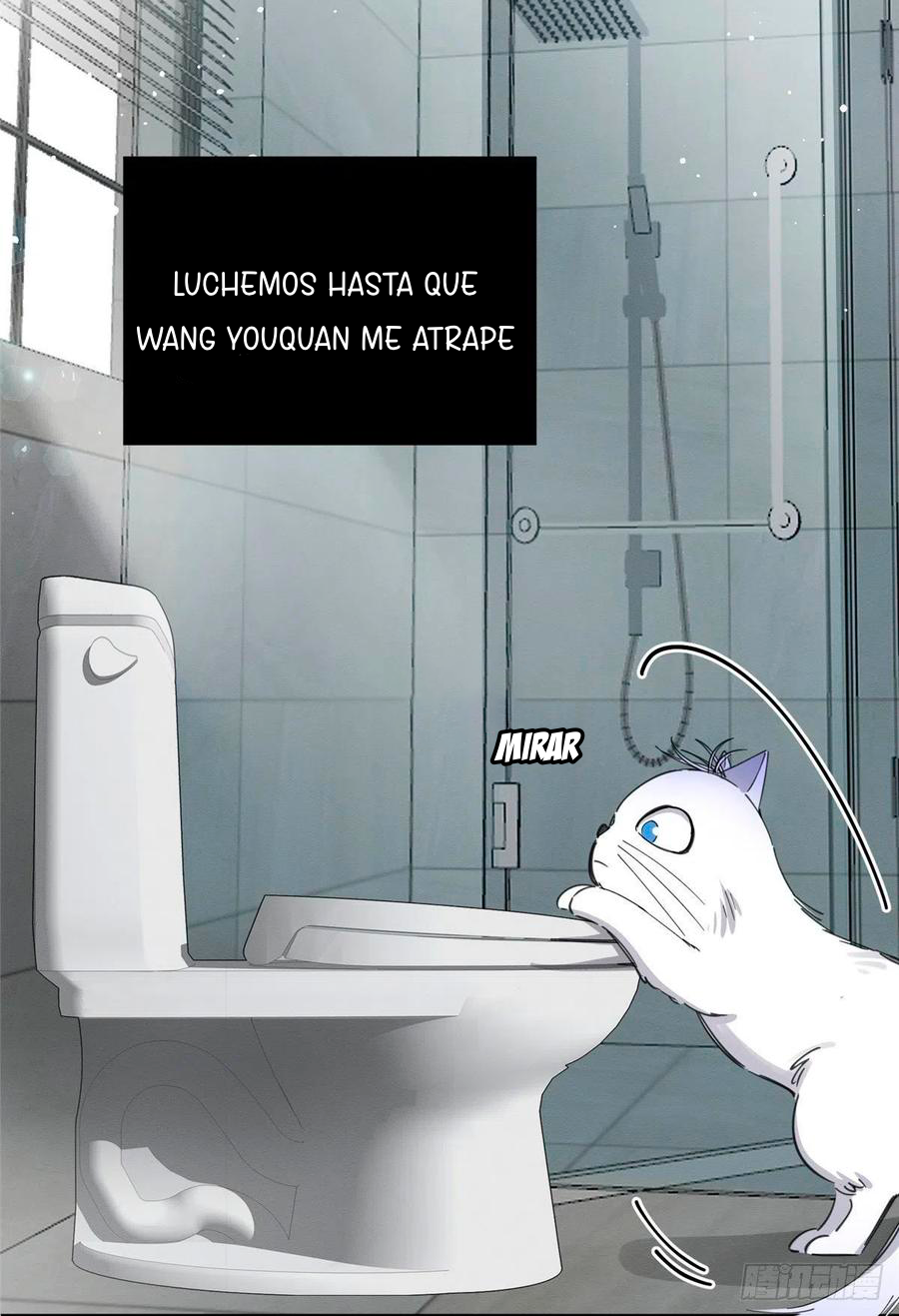 6 Tengo que trabajar duro para ser un gato hoy!