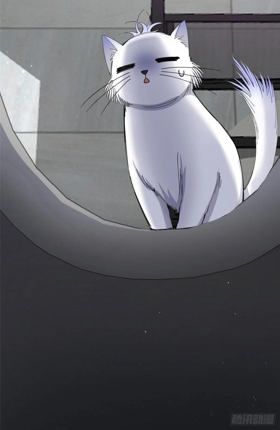 8 Tengo que trabajar duro para ser un gato hoy!