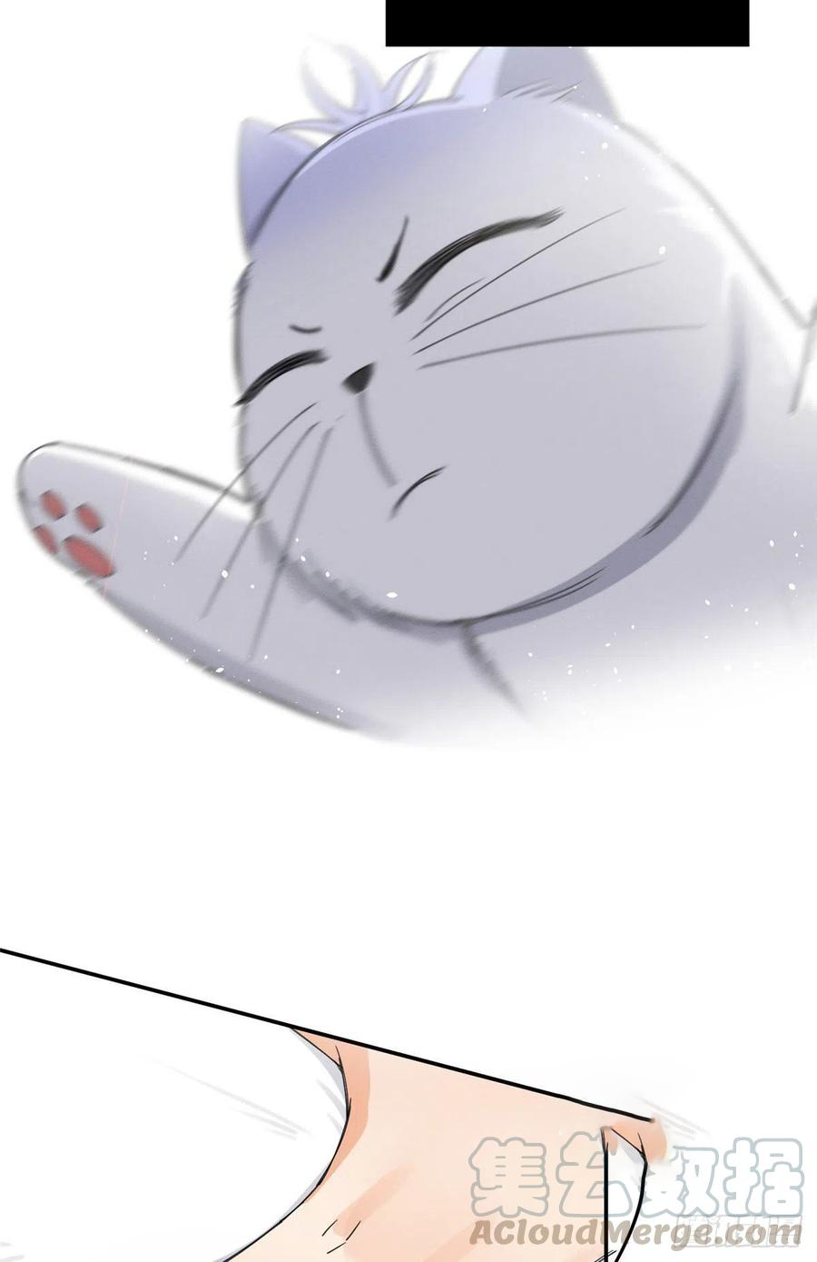 16 Tengo que trabajar duro para ser un gato hoy!