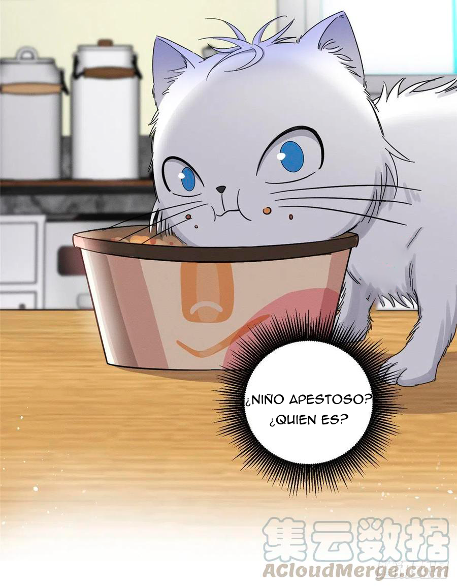 43 Tengo que trabajar duro para ser un gato hoy!