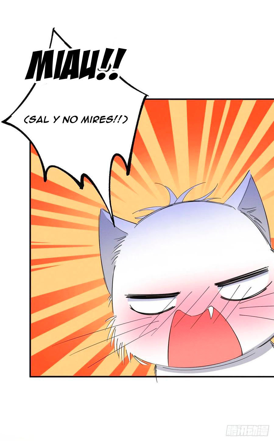 12 Tengo que trabajar duro para ser un gato hoy!