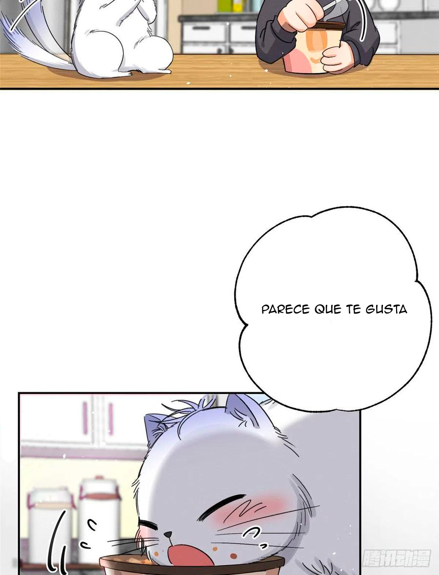 41 Tengo que trabajar duro para ser un gato hoy!