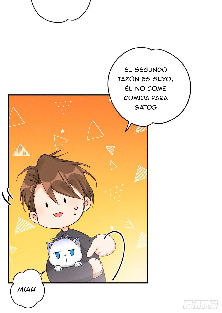 26 Tengo que trabajar duro para ser un gato hoy!