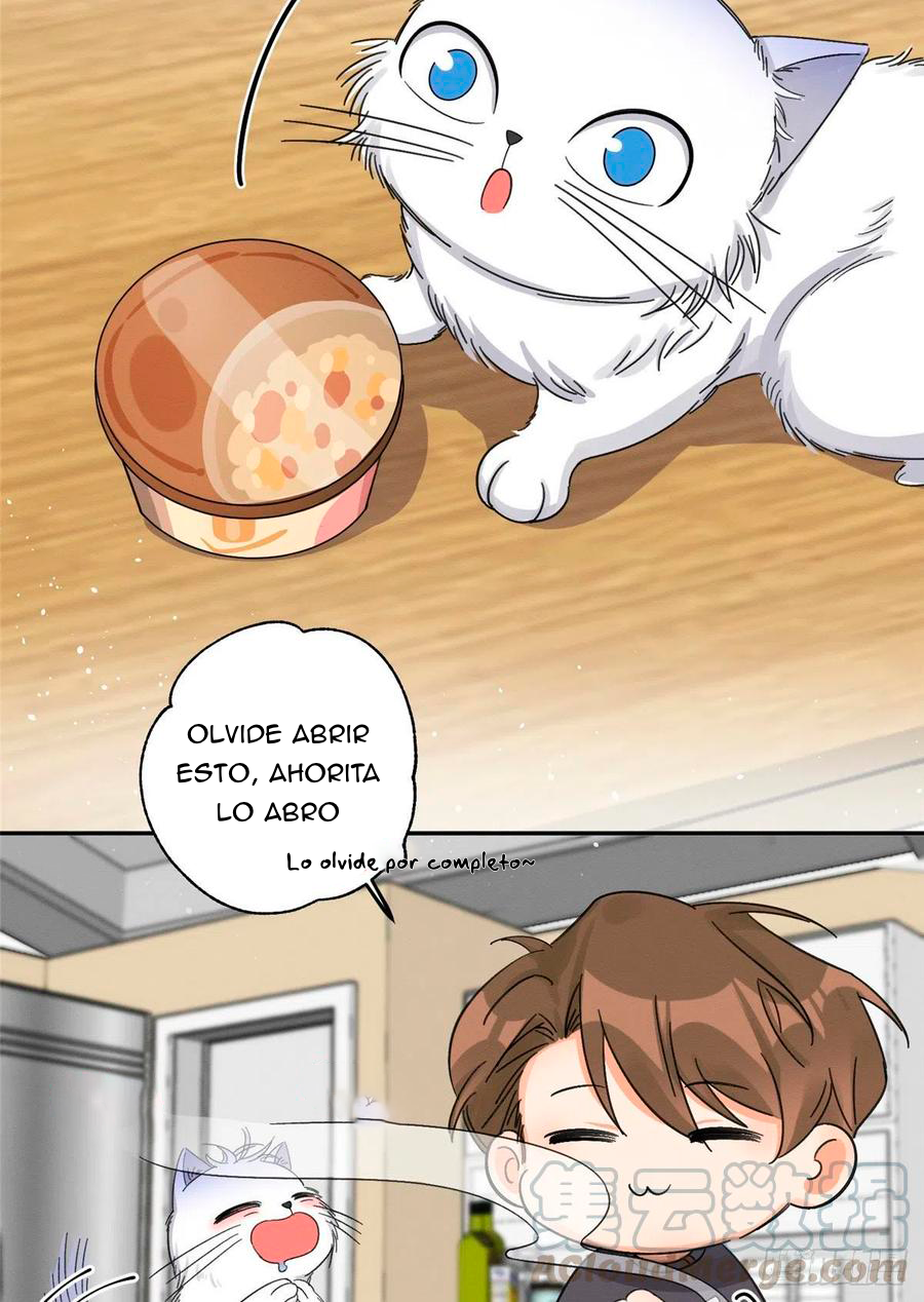 40 Tengo que trabajar duro para ser un gato hoy!