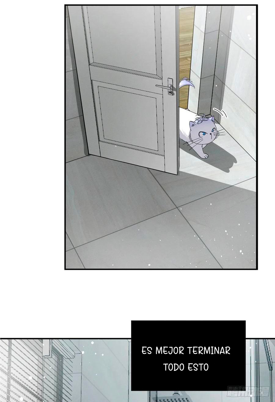 5 Tengo que trabajar duro para ser un gato hoy!