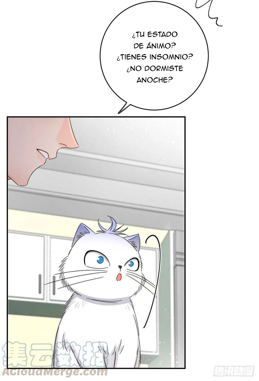 31 Tengo que trabajar duro para ser un gato hoy!