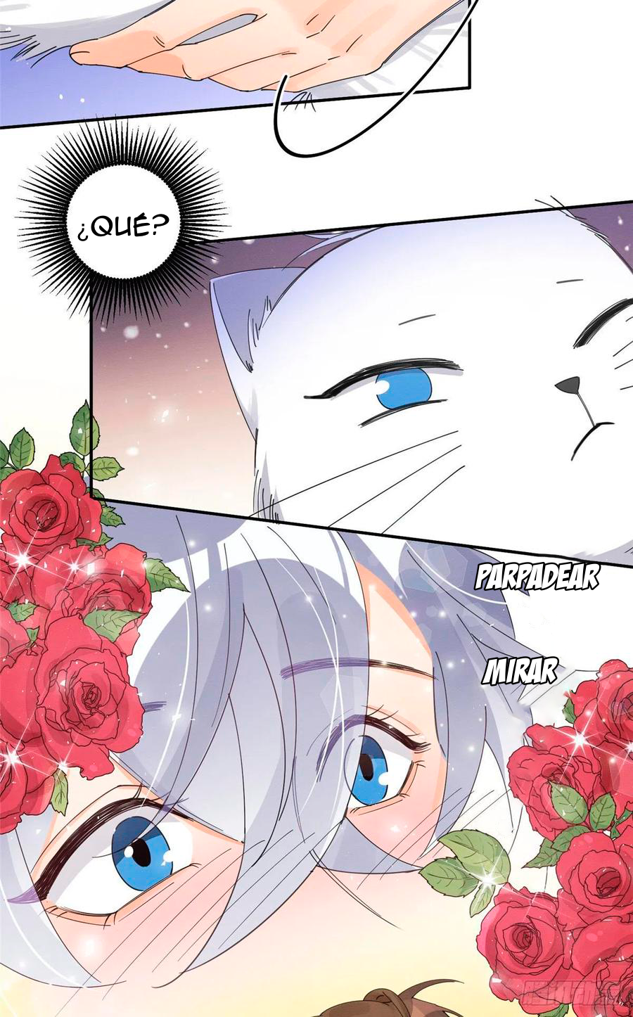 17 Tengo que trabajar duro para ser un gato hoy!