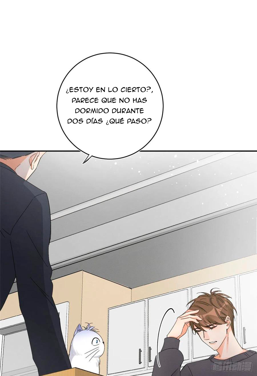 32 Tengo que trabajar duro para ser un gato hoy!