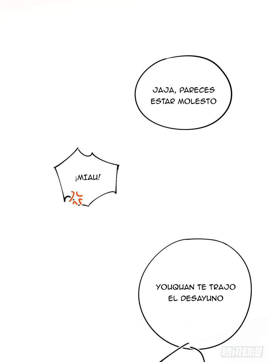 20 Tengo que trabajar duro para ser un gato hoy!