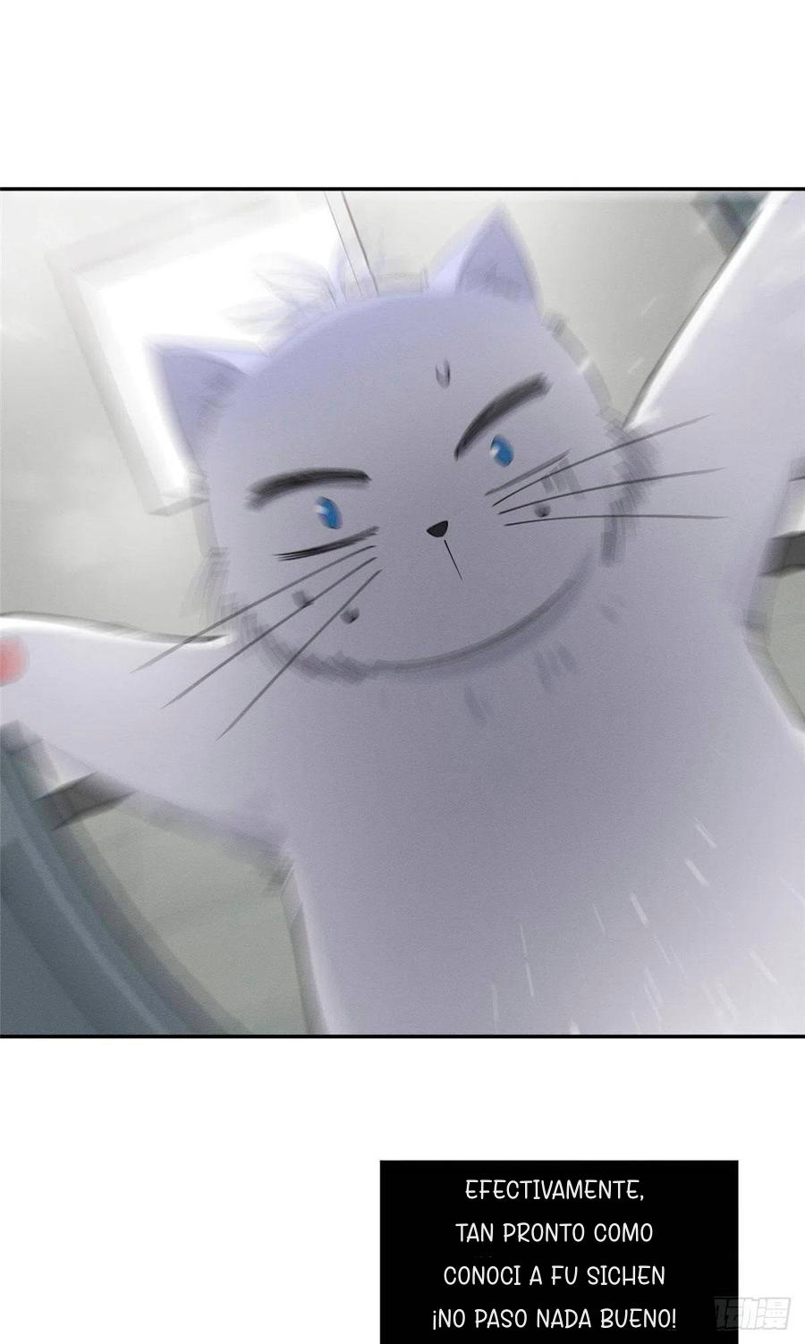 15 Tengo que trabajar duro para ser un gato hoy!