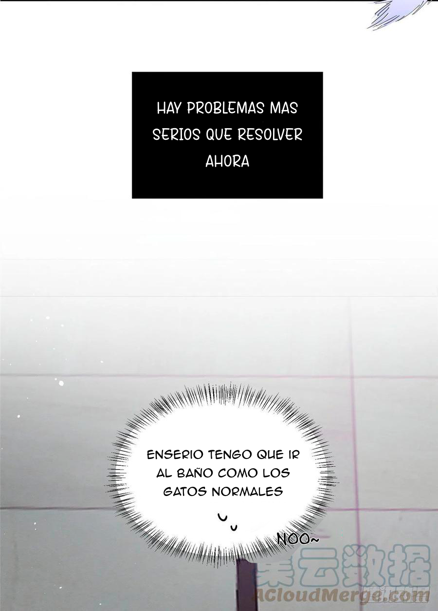 7 Tengo que trabajar duro para ser un gato hoy!