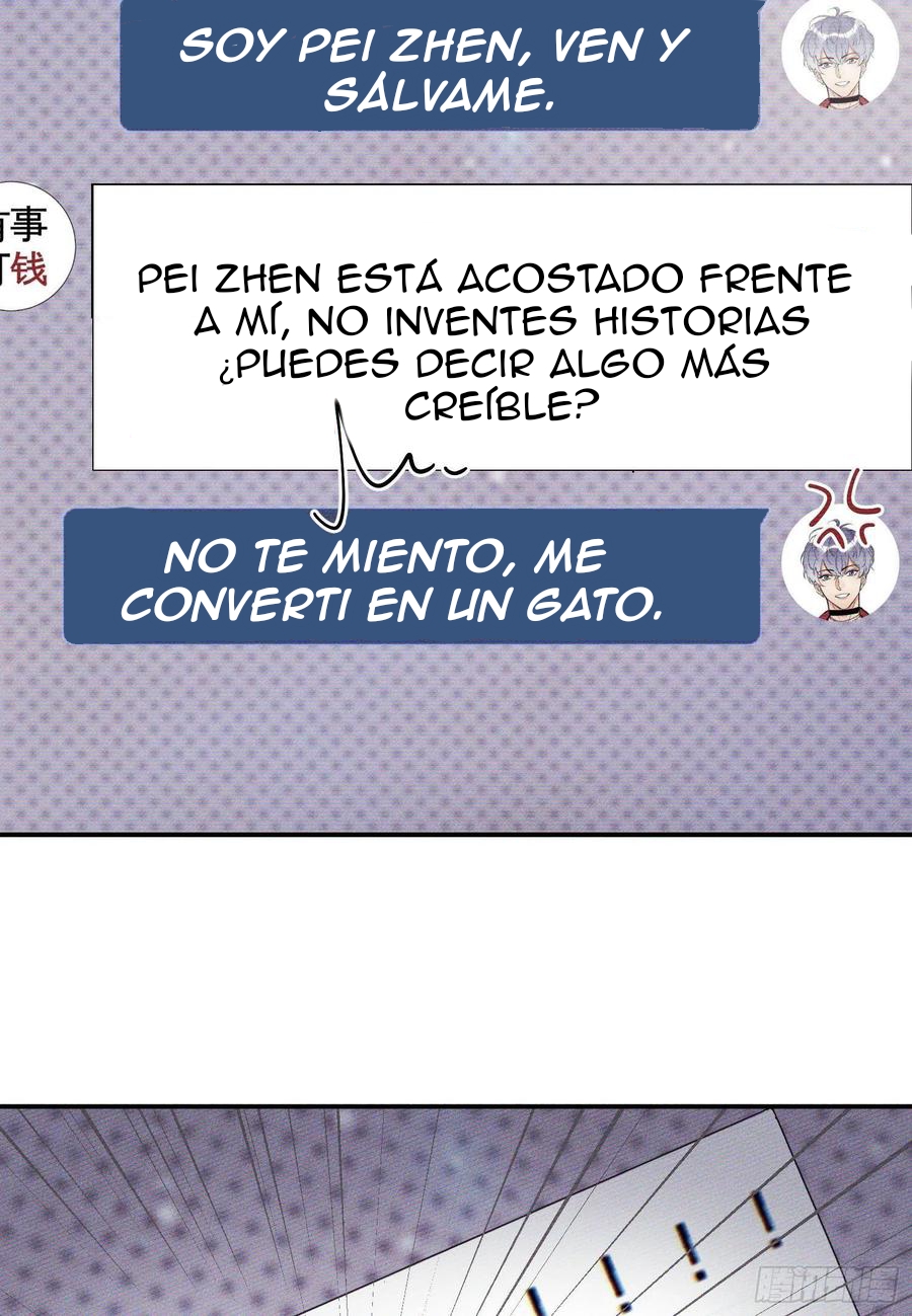 36 Tengo que trabajar duro para ser un gato hoy!