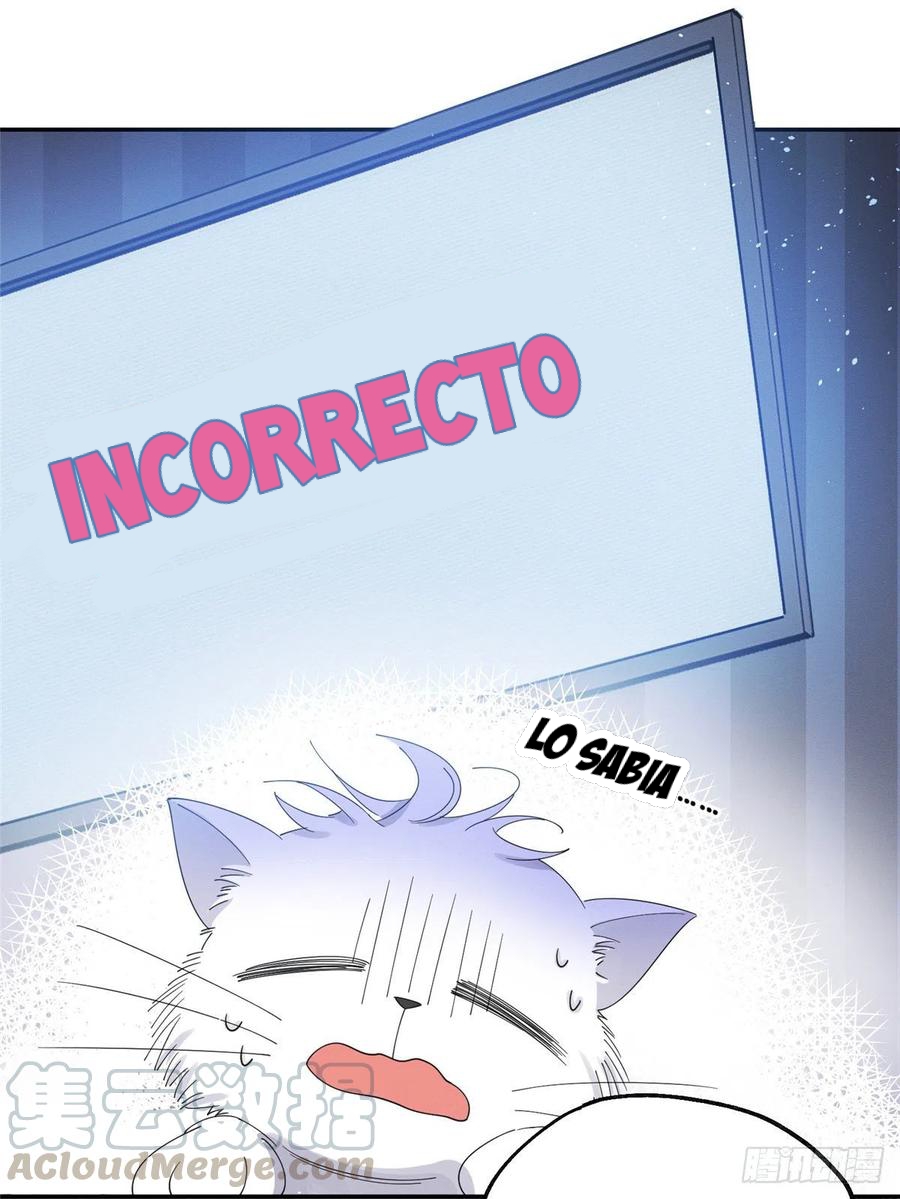 16 Tengo que trabajar duro para ser un gato hoy!