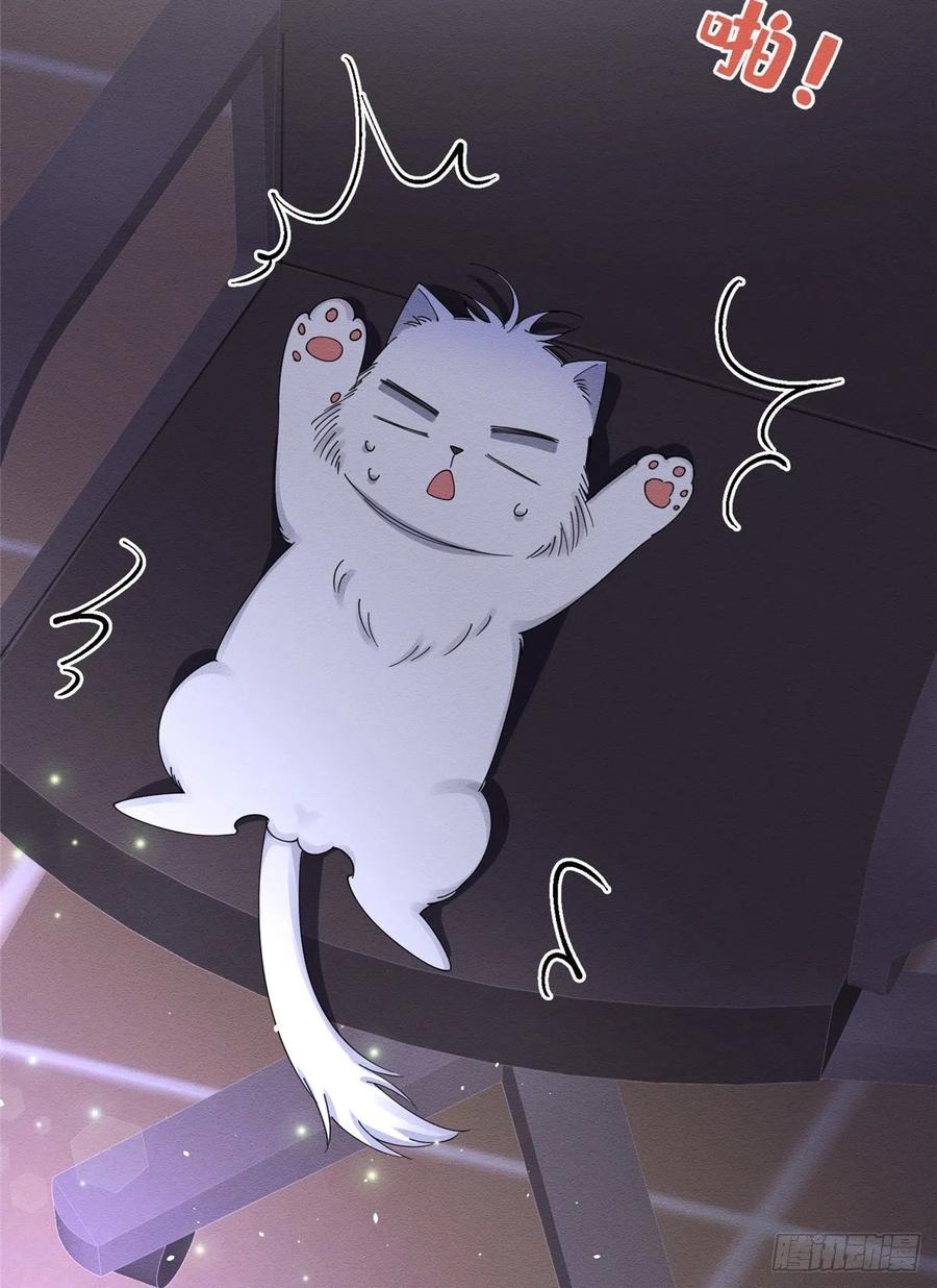 44 Tengo que trabajar duro para ser un gato hoy!